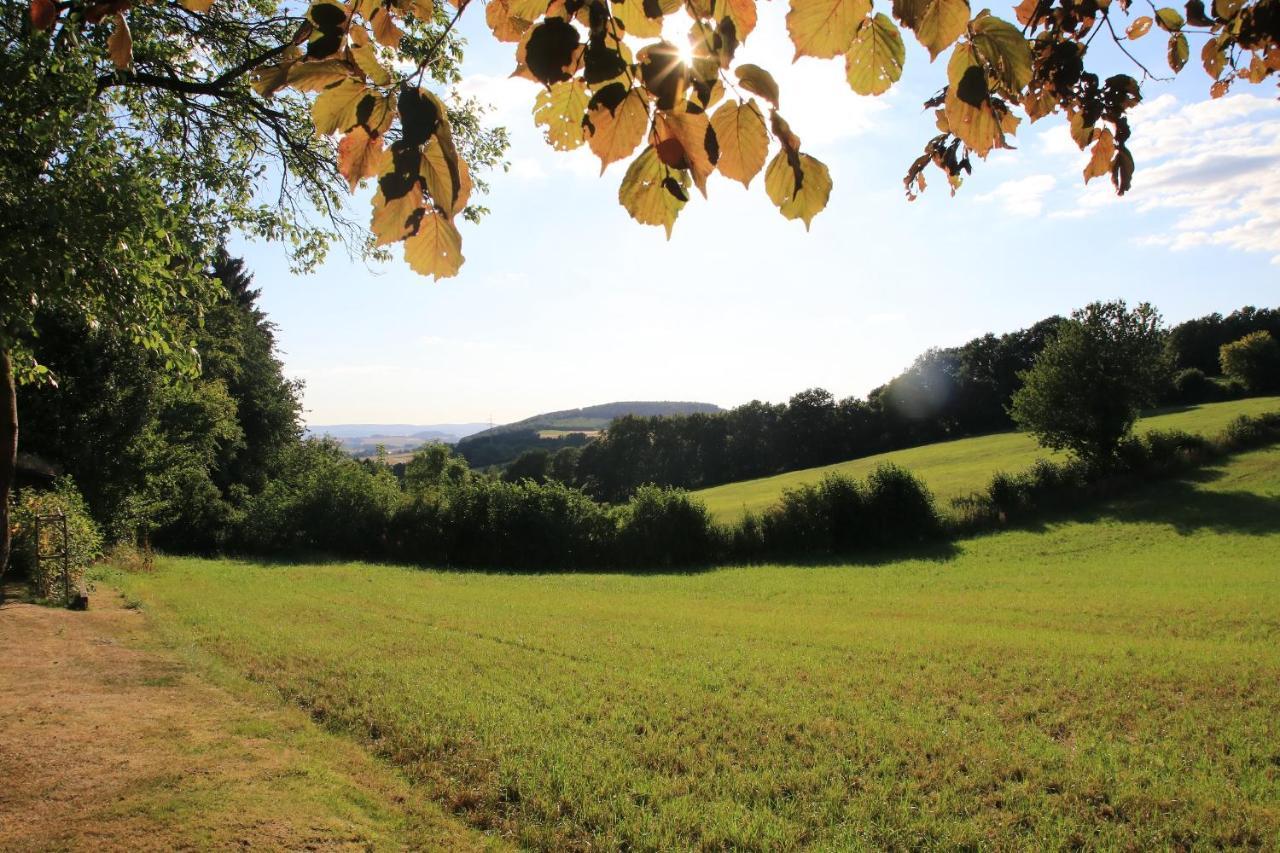 Ferienwohnung Naturfreund Lügde Zewnętrze zdjęcie